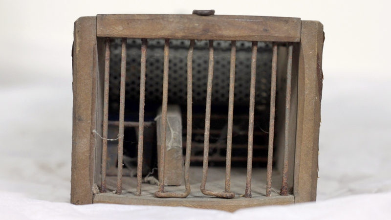 Illustration for article titled A Museum's 155-Year-Old Antique Mouse Trap Is Still Catching Rodents